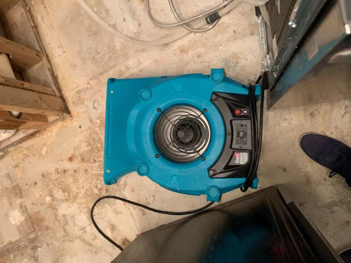 Air mover drying equipment for Mold Remediation & Removal in Natchitoches